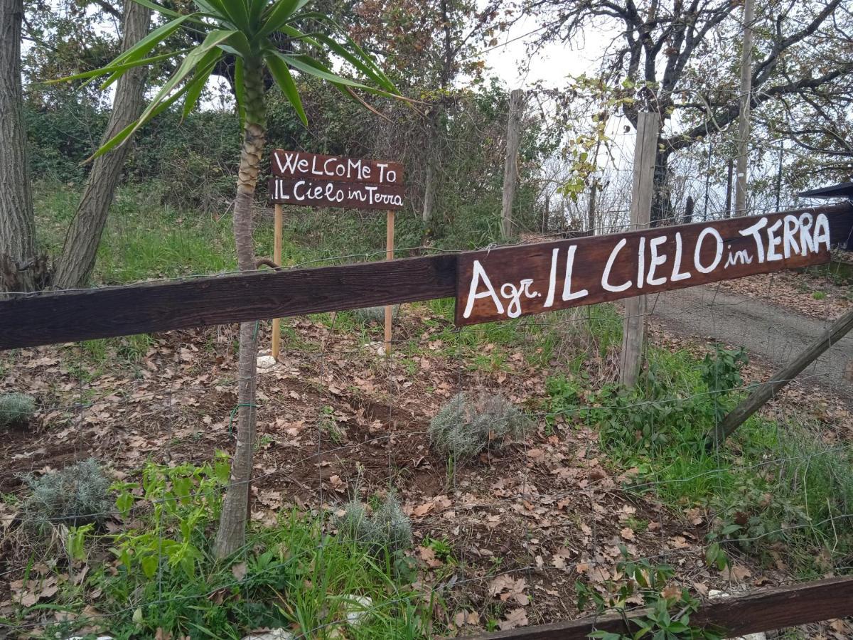 Agriturismo Il Cielo In Terra Sant'Oreste ภายนอก รูปภาพ