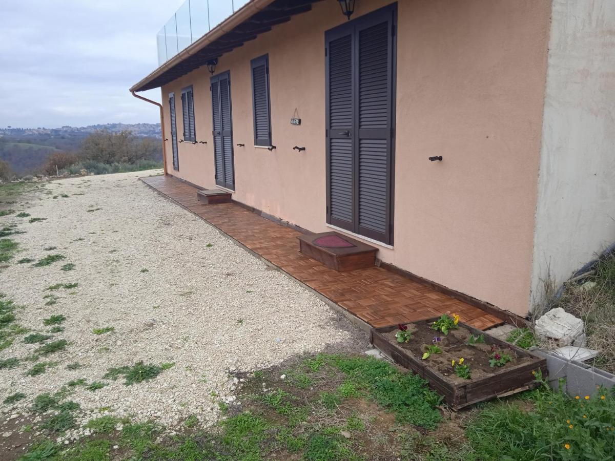 Agriturismo Il Cielo In Terra Sant'Oreste ภายนอก รูปภาพ