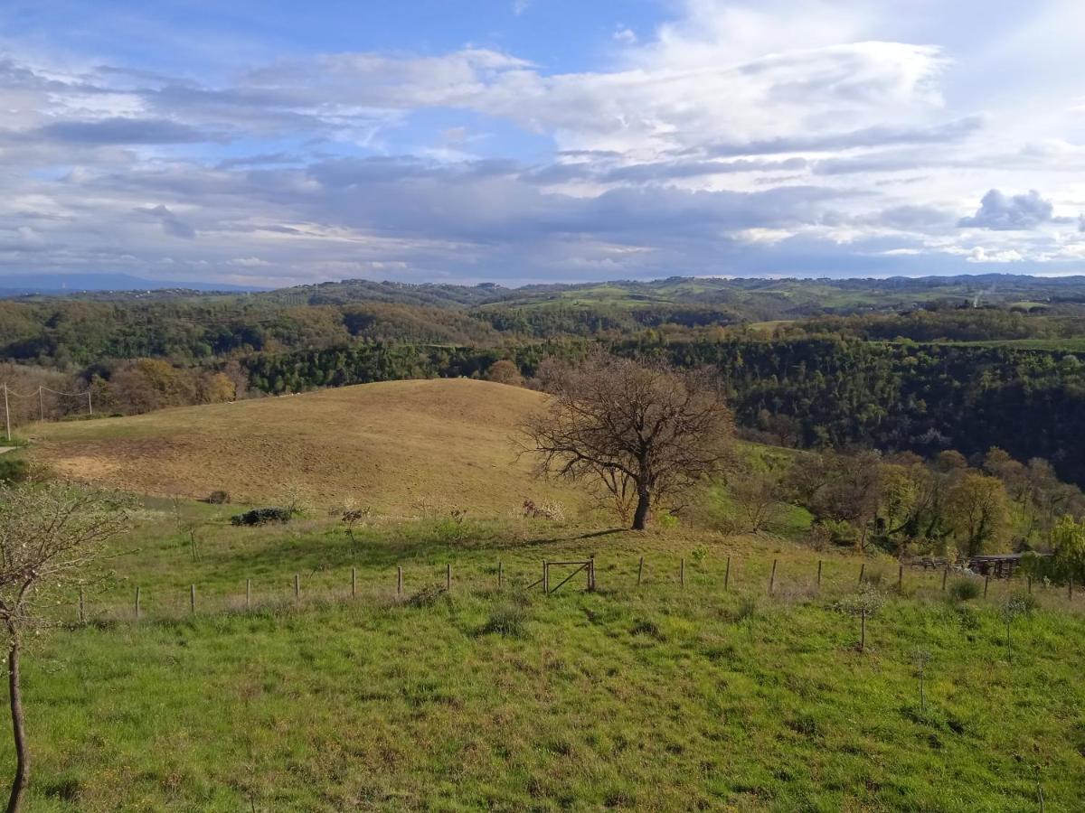 Agriturismo Il Cielo In Terra Sant'Oreste ภายนอก รูปภาพ